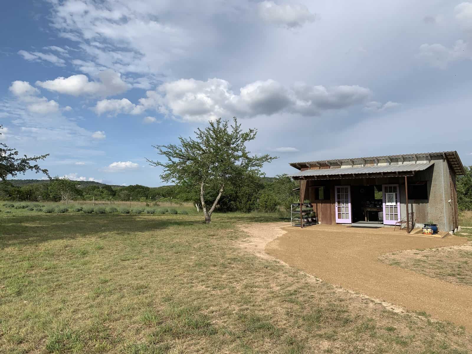 The rustic Hill Country Lavender farm store near Blanco, Texas