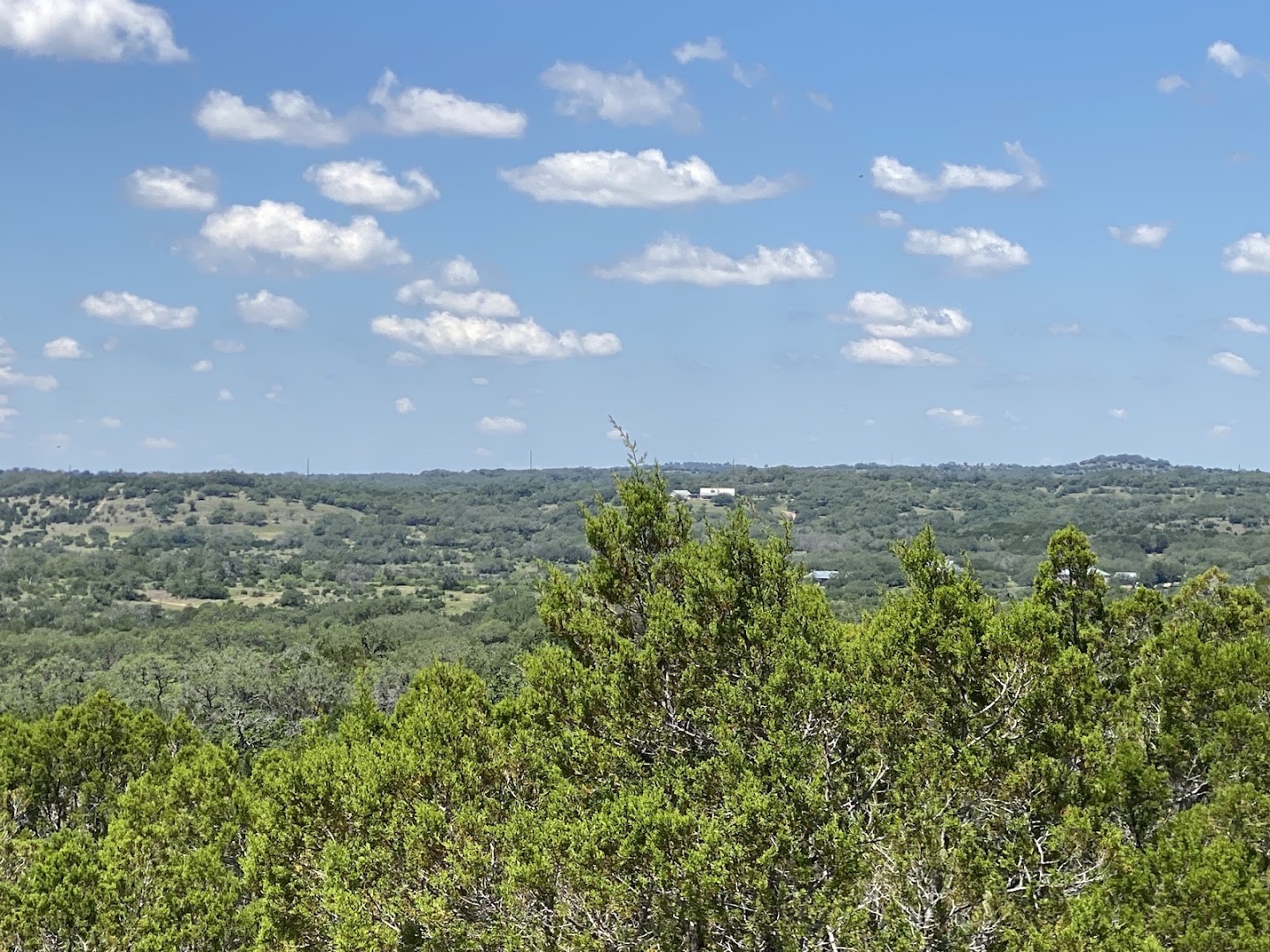 Wide Hill Country vista of rolling cedar and oak hills at Milton Reimers Ranch Park