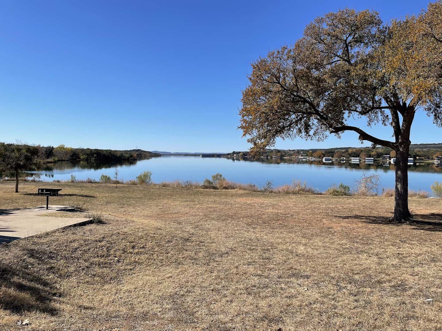 Calm blue Inks Lake beneath a live oak tree at Inks Lake State Park, Texas