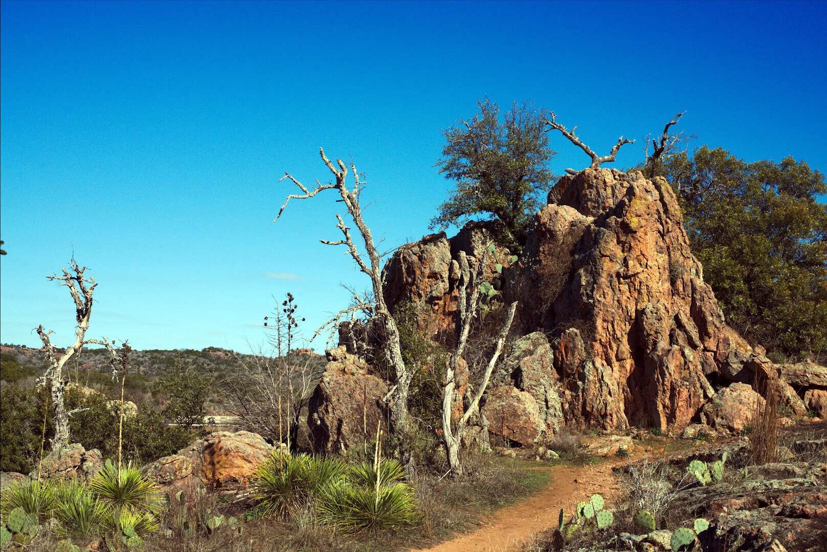 Glowing pink granite outcrop along a trail at Inks Lake State Park, Texas