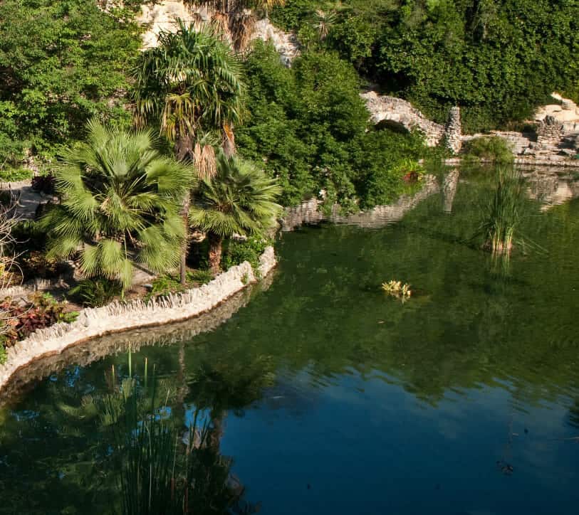 Palms reflected in a calm pond at the Japanese Tea Garden in San Antonio