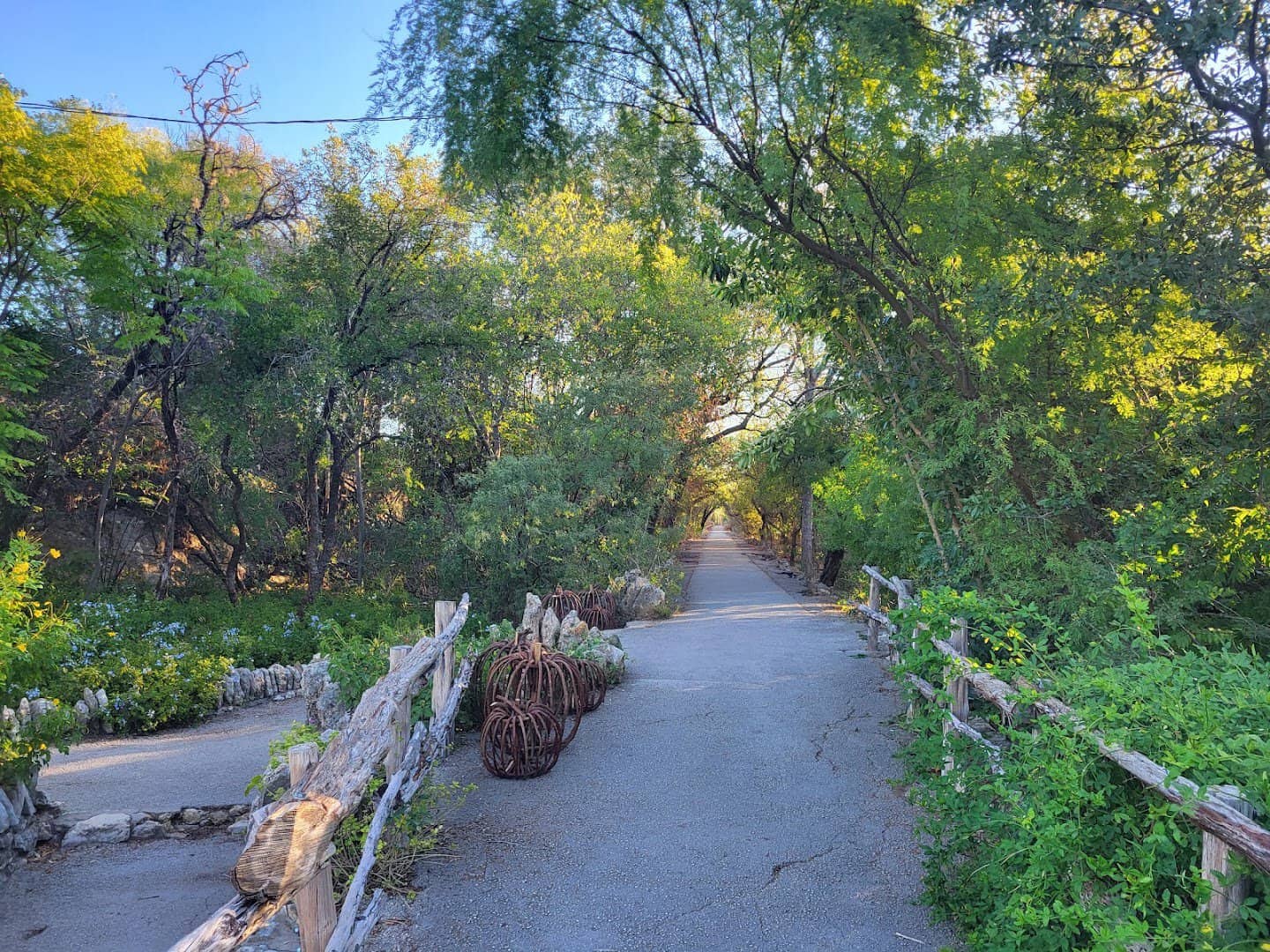 Shaded garden walkway with autumn foliage at the Japanese Tea Garden in San Antonio