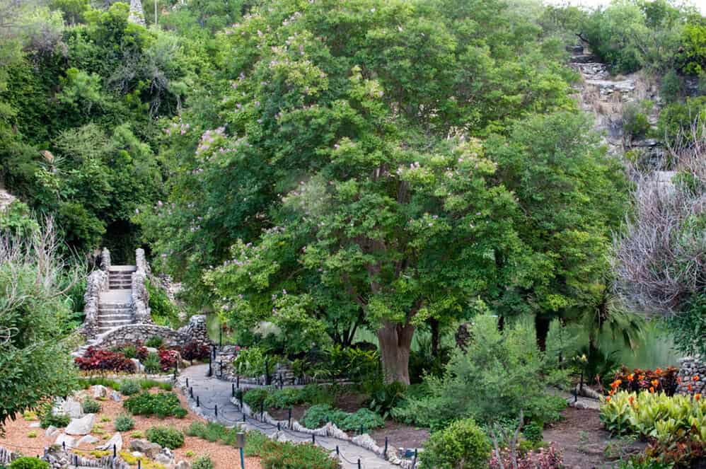 Looking down into the sunken Japanese Tea Garden from the upper path in San Antonio