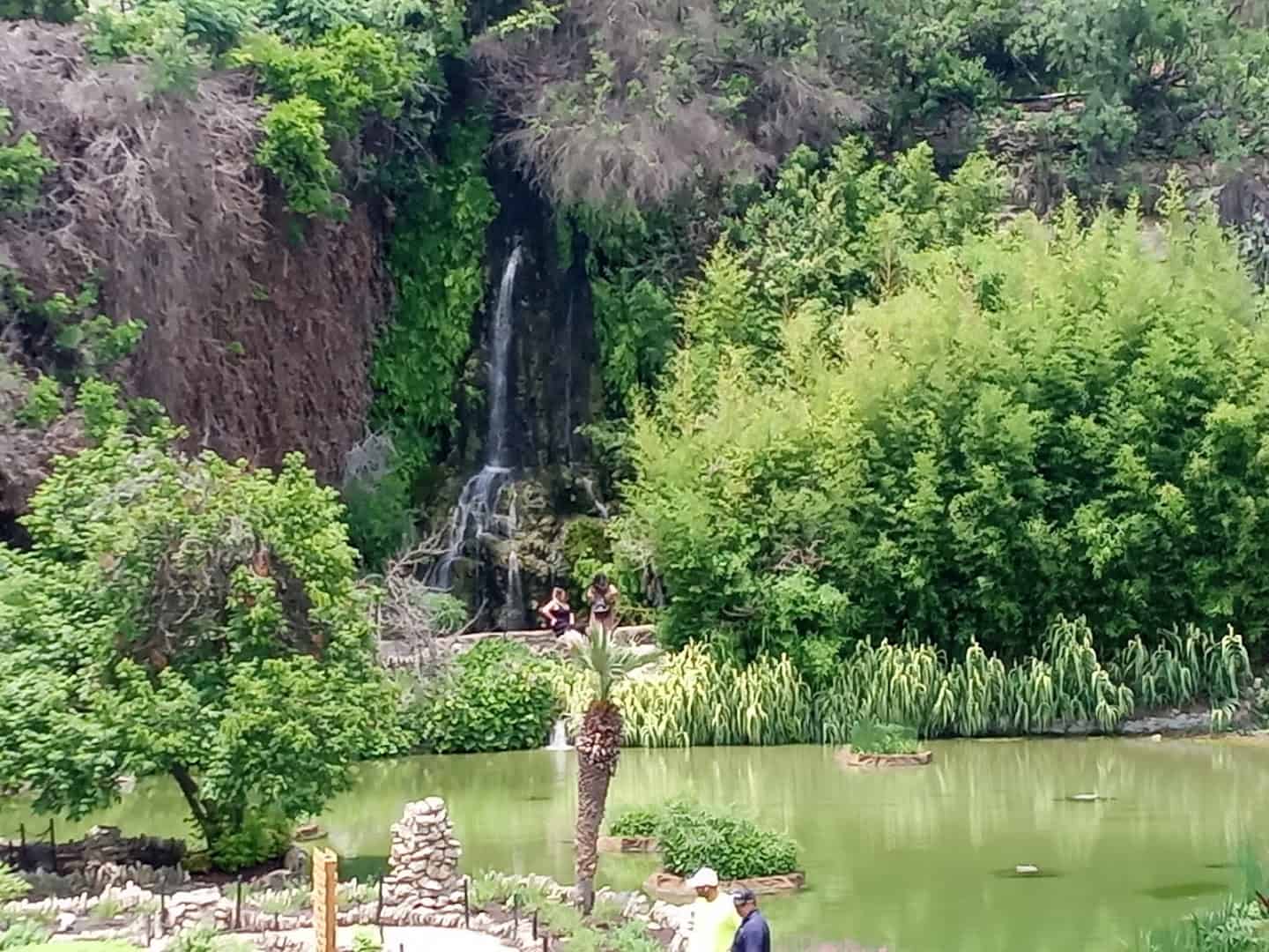 The sixty-foot waterfall spilling down the old quarry wall at the Japanese Tea Garden in San Antonio