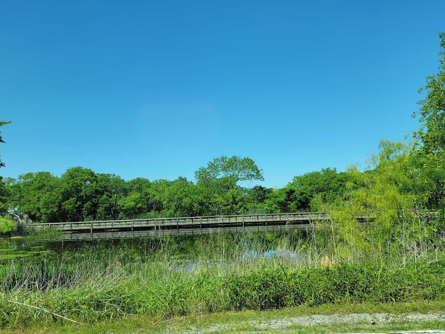 Joe Pool Lake shoreline with fishing pier and trees at Cedar Hill State Park in Cedar Hill