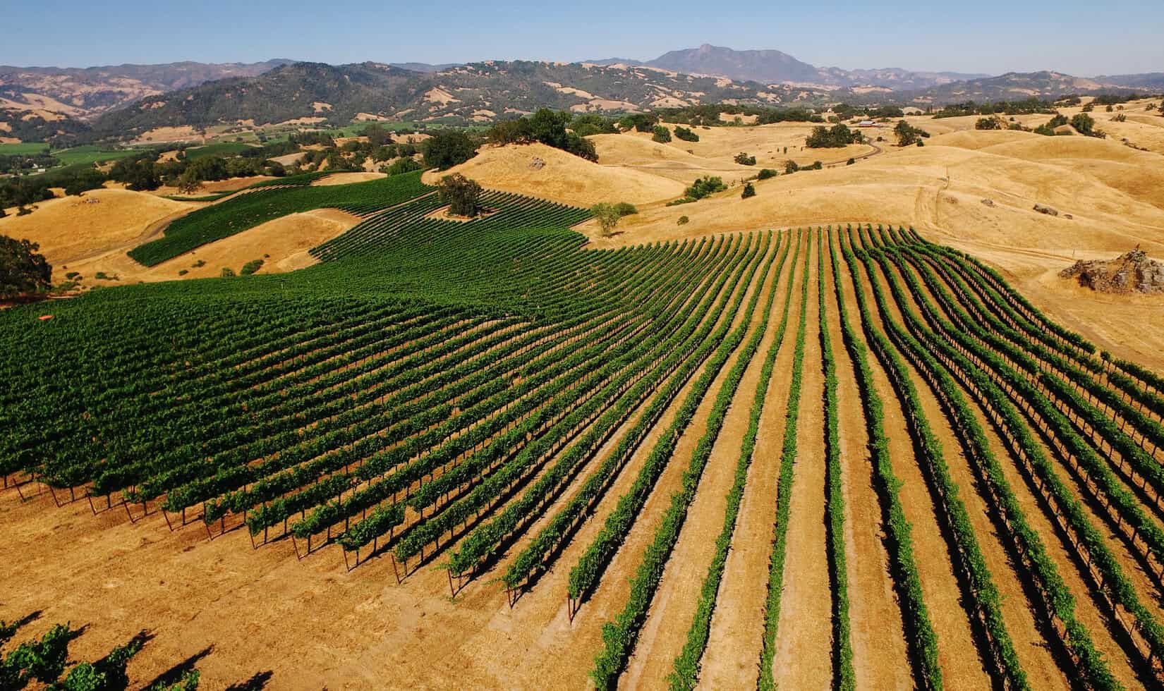 Aerial of vineyard rows across rolling Sonoma hills at Jordan Vineyard and Winery near Healdsburg, California