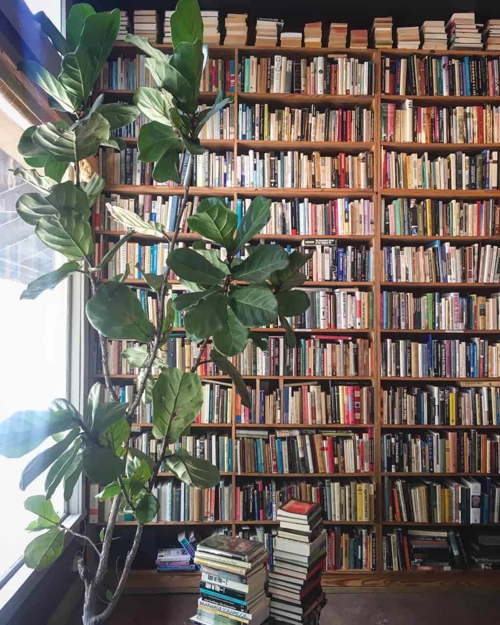 Tall shelves of used books at Kaboom Books in Houston