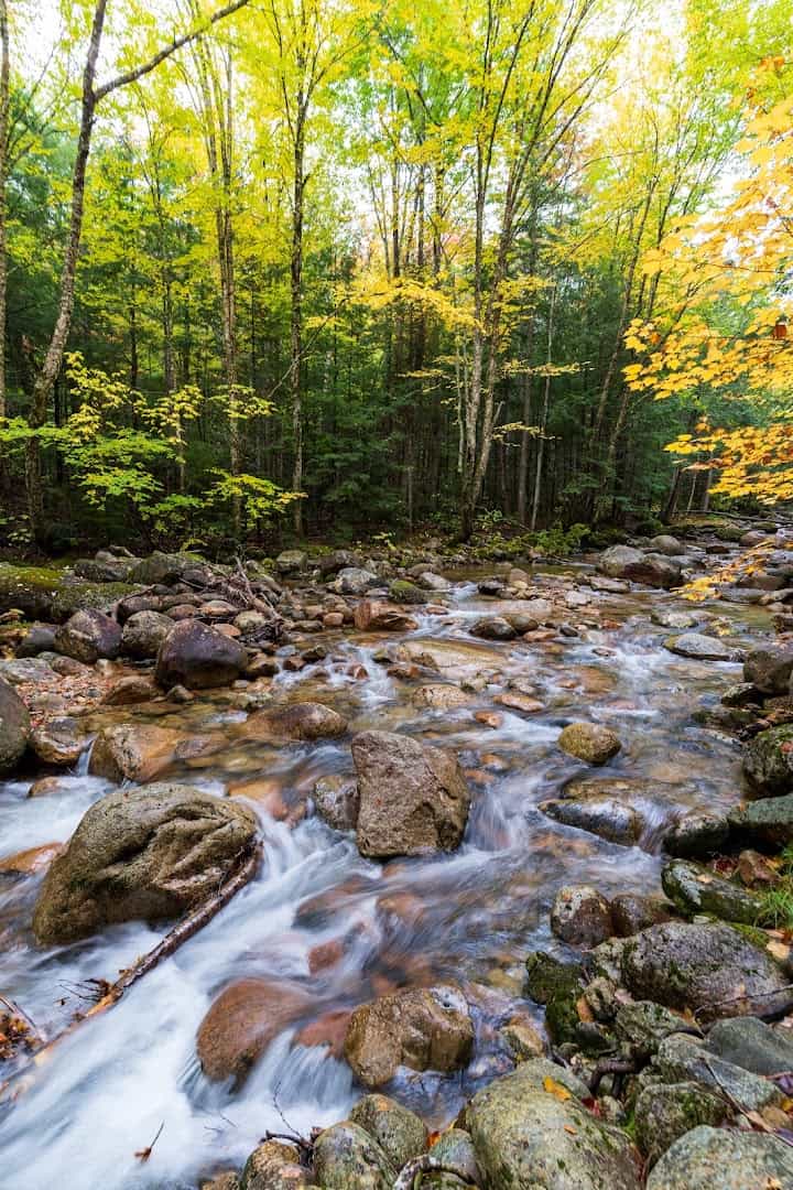 Golden fall foliage over a mountain stream near the Kancamagus Highway, New Hampshire