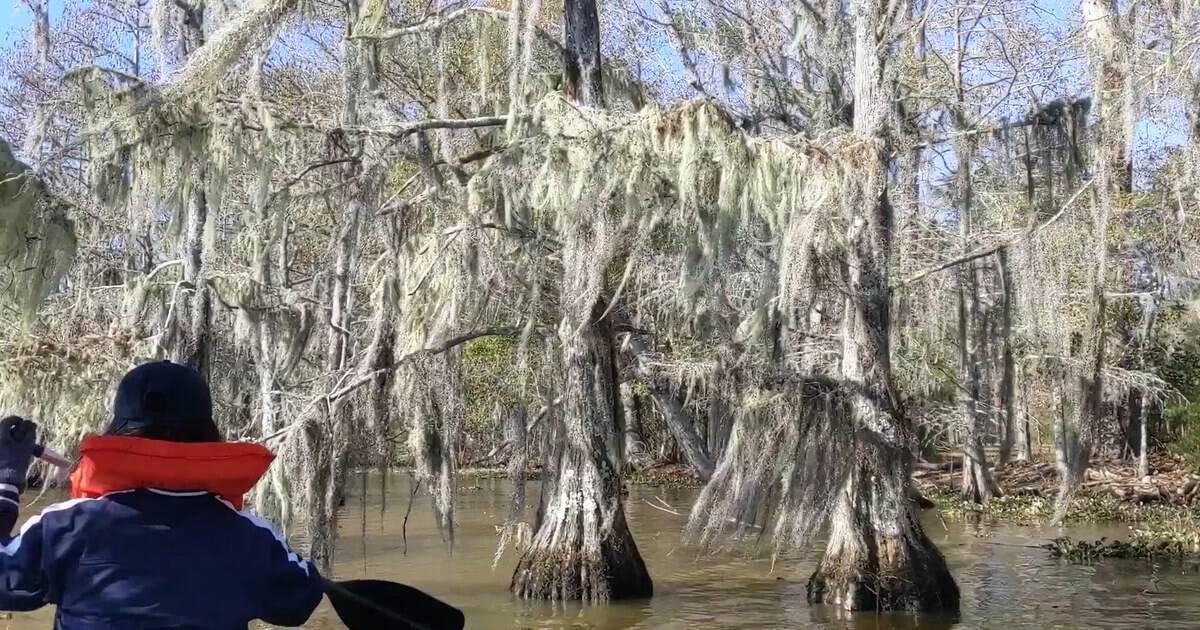 This Hidden Texas State Park Is a Kayaker’s Dream With 14 Miles of Paddling Trails