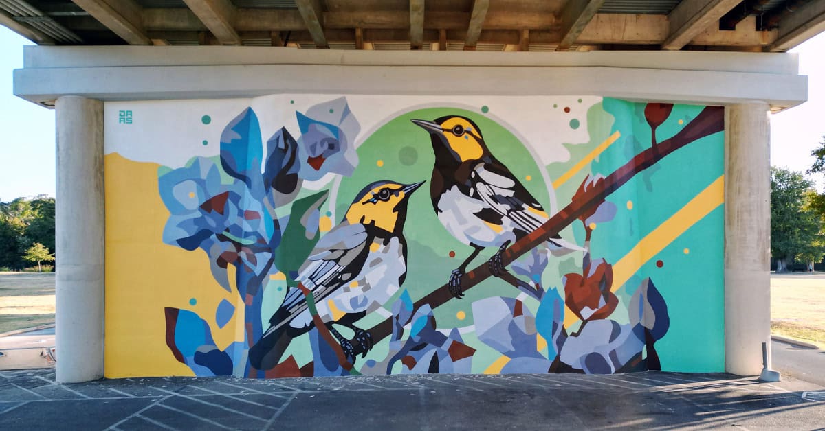 Bright mural of golden-cheeked warblers on a wall in Kerrville, Texas
