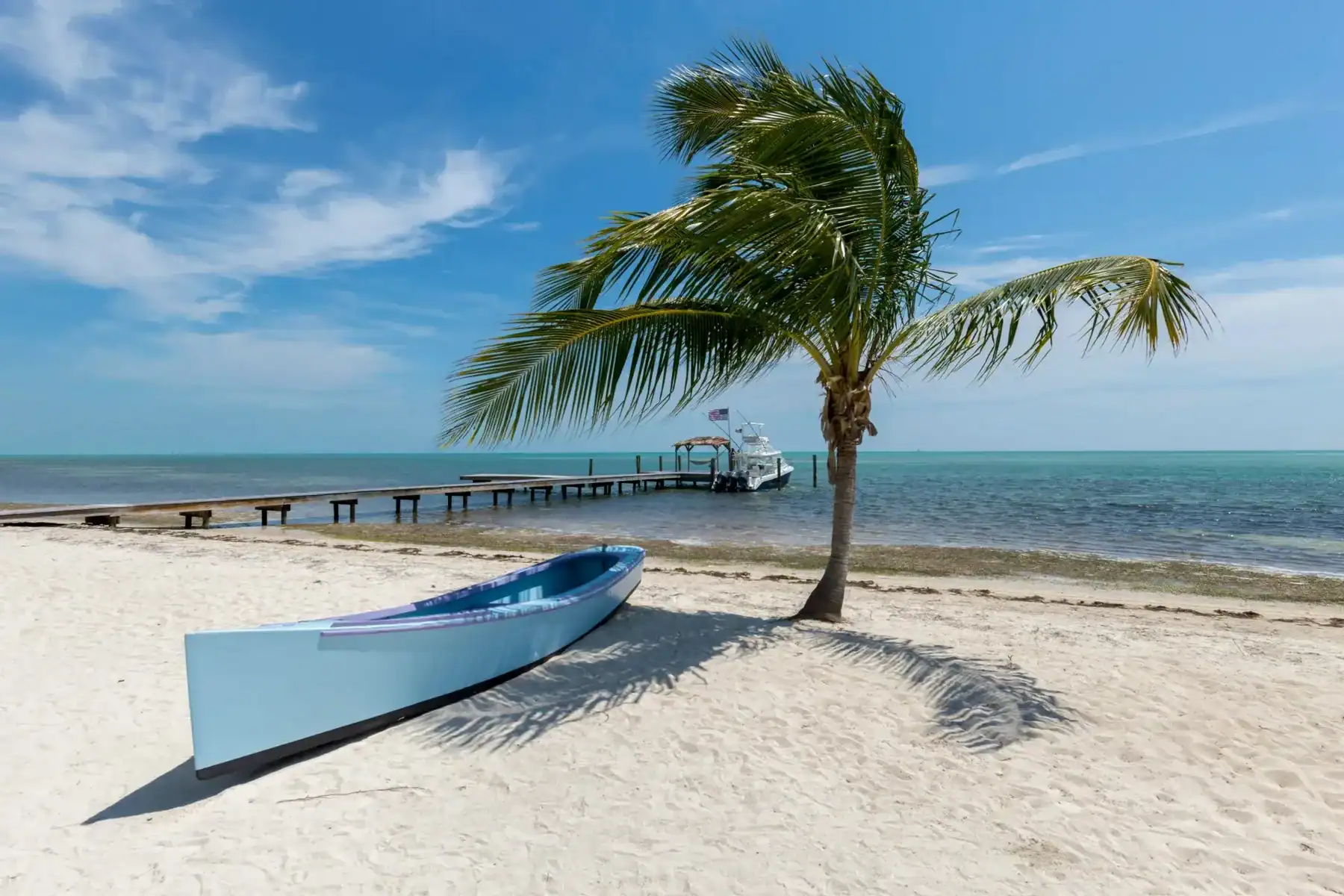 Palm tree and boat on a tropical beach, Key West, Florida
