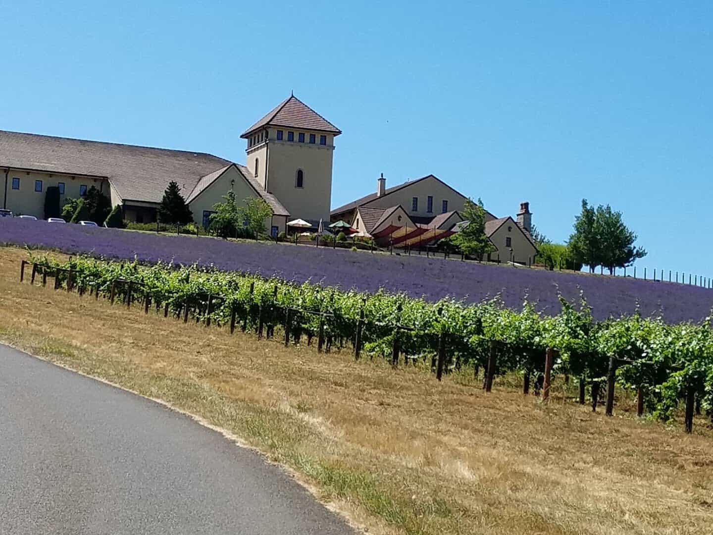 The hilltop King Estate winery building with its tower above the vineyard near Eugene, Oregon