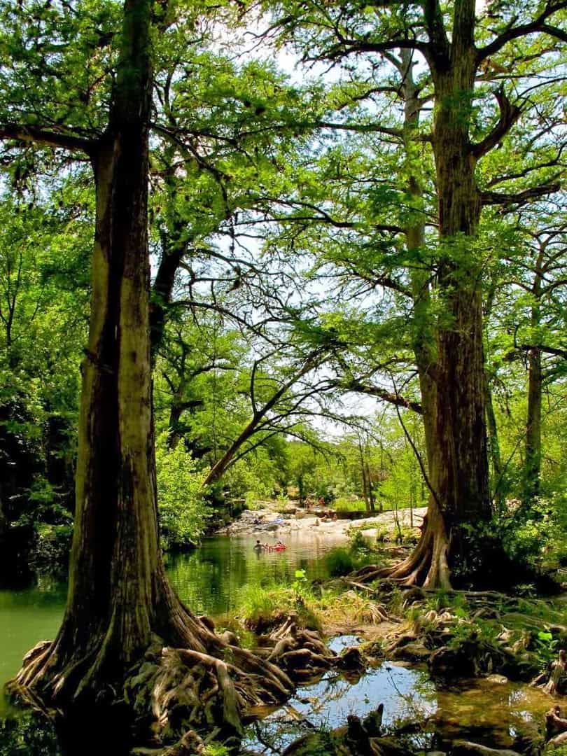 Cypress-shaded swimming hole at Krause Springs in Spicewood, Texas
