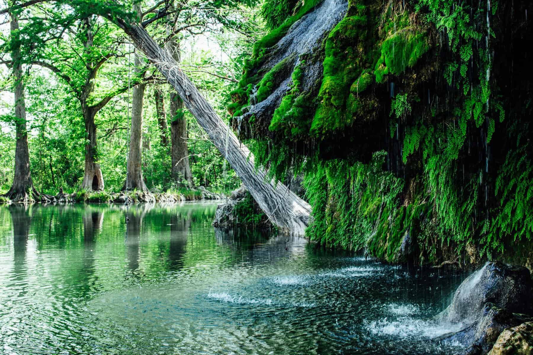 Waterfall pouring into the natural swimming pool at Krause Springs in Spicewood, Texas