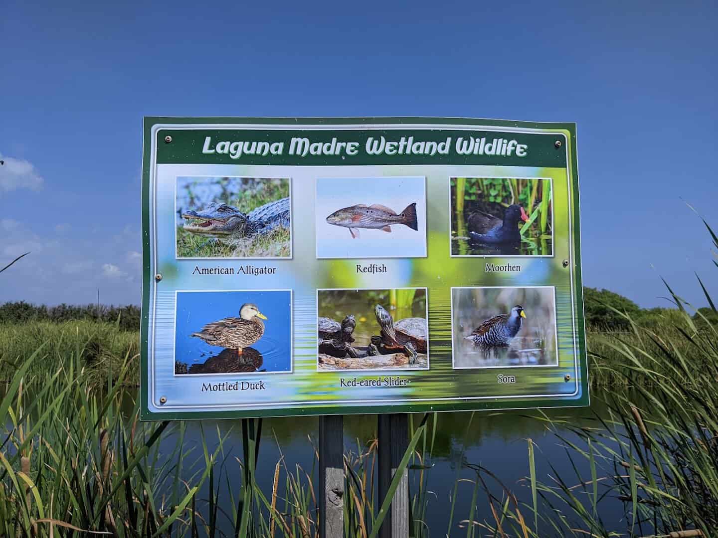 Laguna Madre Wetland Wildlife sign at the trailhead, South Padre Island