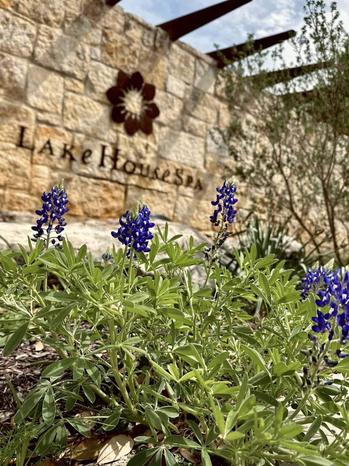 Lake Austin Spa Resort entrance sign with Texas bluebonnets