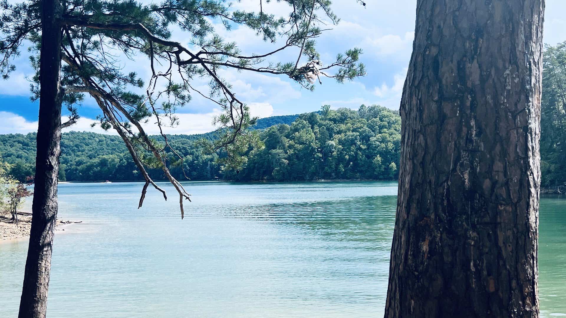 Lake Blue Ridge framed by pines below forested mountains in Blue Ridge, Georgia