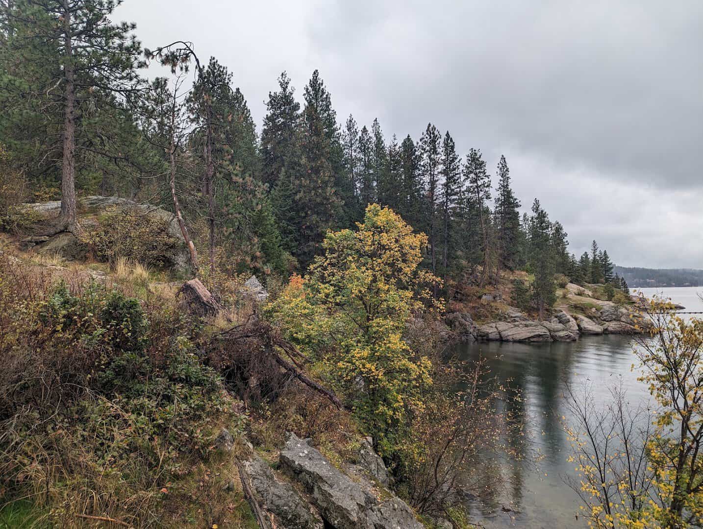 Fall color along the shoreline at Tubbs Hill, Lake Coeur d'Alene, Idaho