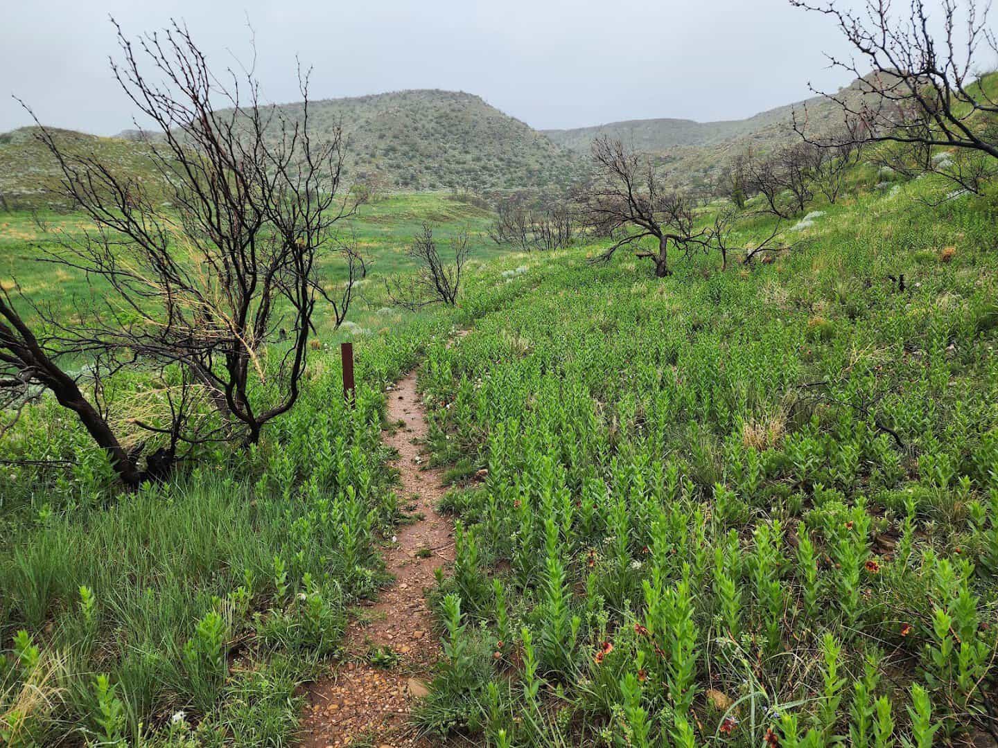 Hiking trail winding through the hills at Lake Meredith