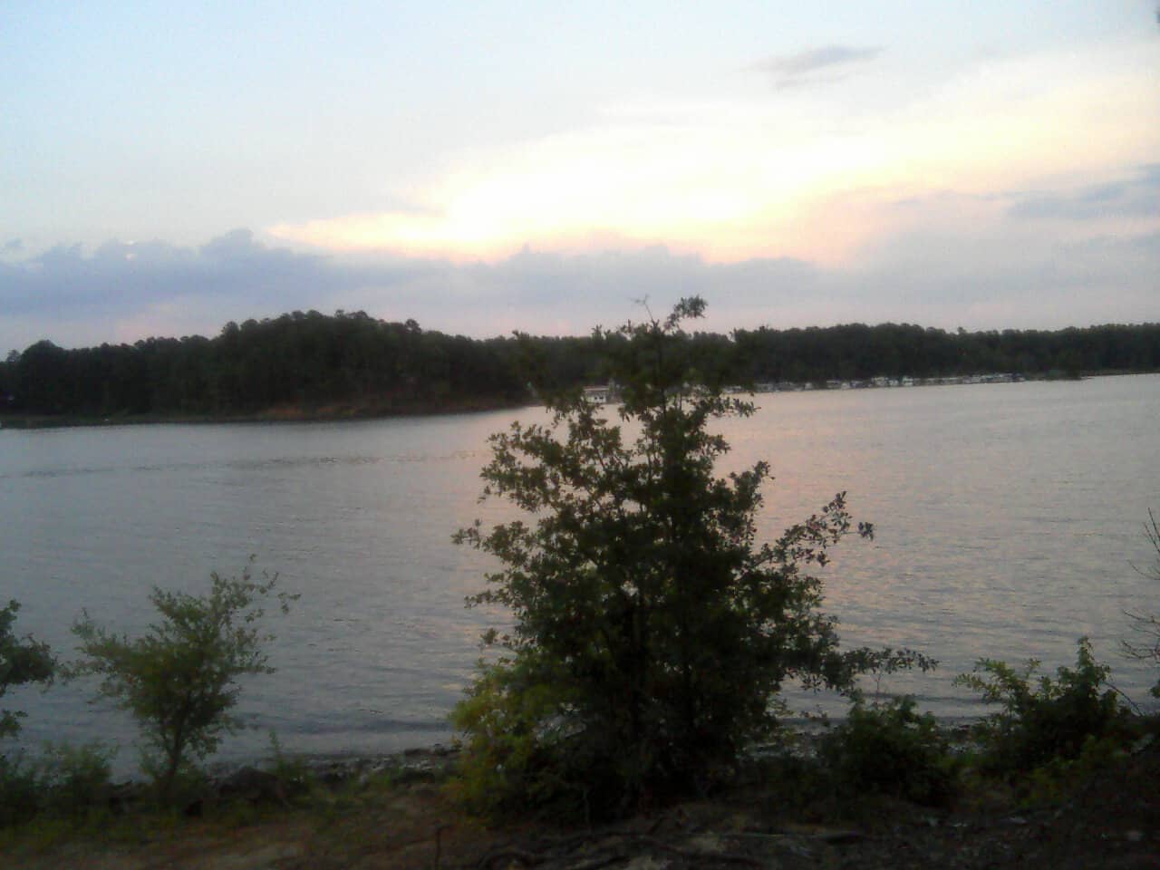 Calm open water and pine shoreline at Lake O' the Pines, Texas