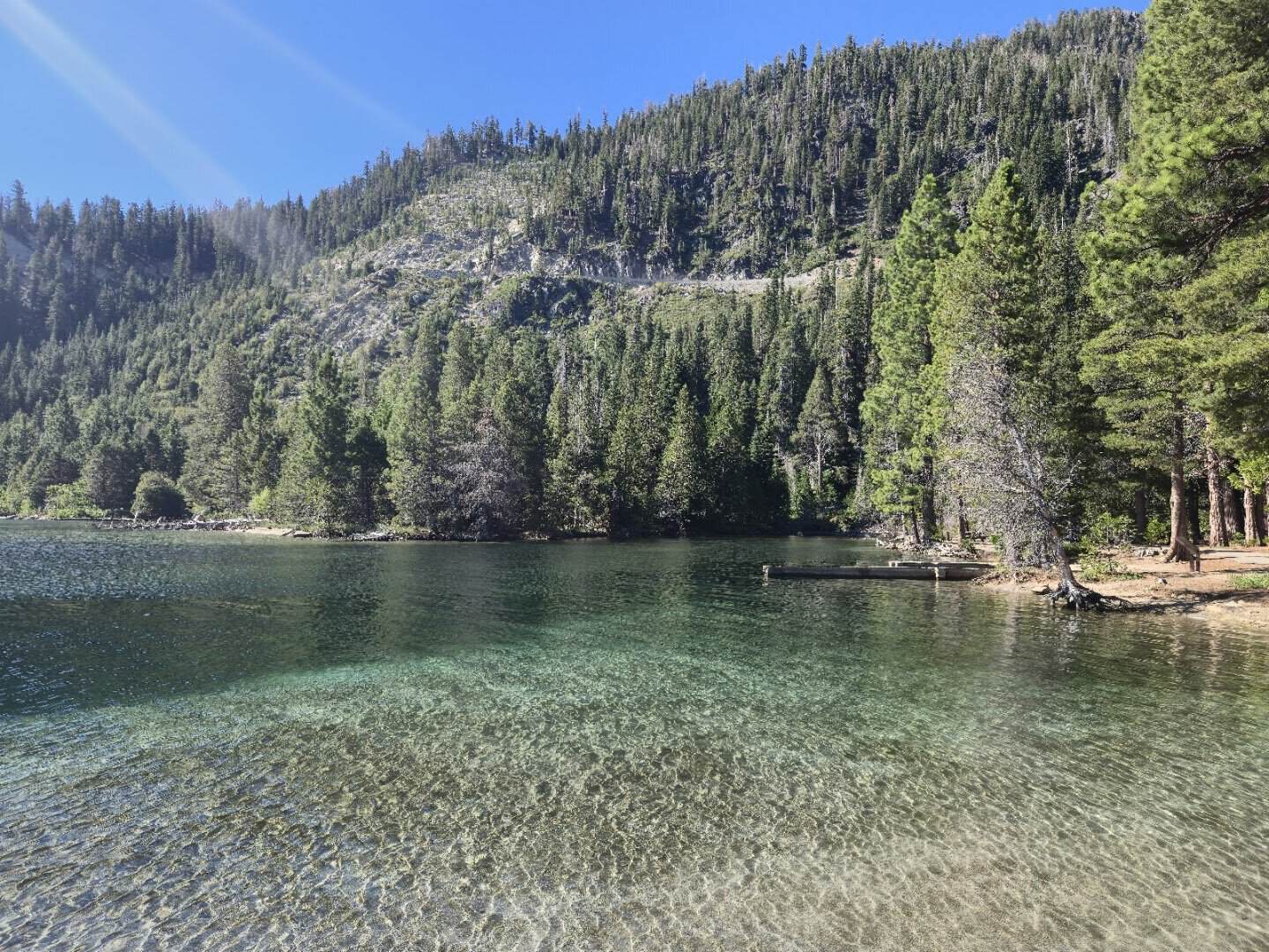 Clear turquoise water along a forested cove at Lake Tahoe, California