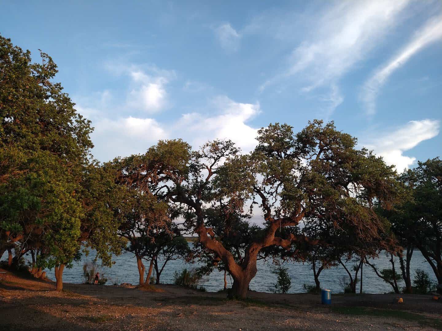 Oak trees along the shore of Boerne City Lake at golden hour, Boerne, Texas