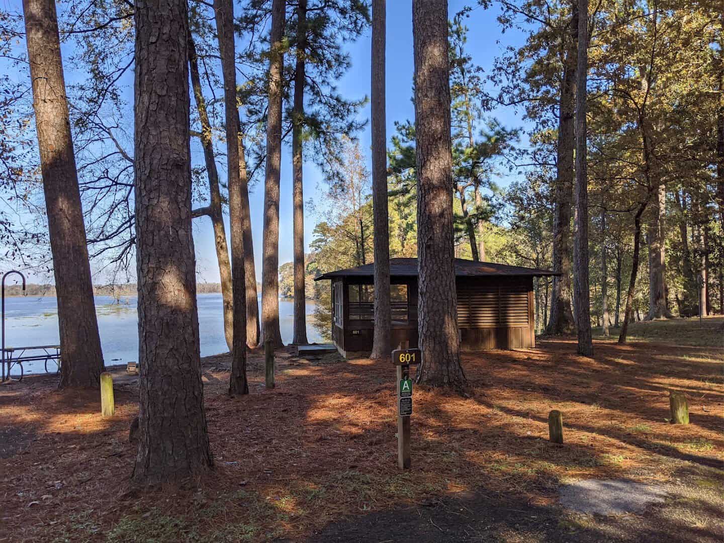 Lakeside screened shelter at Martin Dies Jr State Park