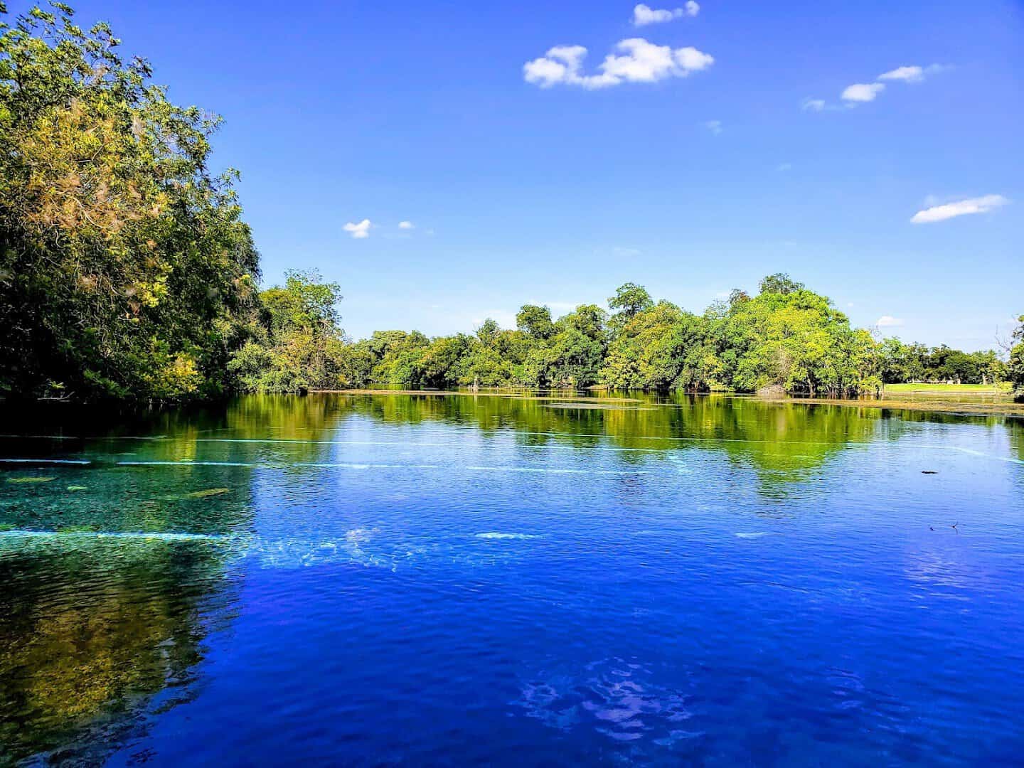 Deep blue spring water of Landa Lake under a clear Texas sky