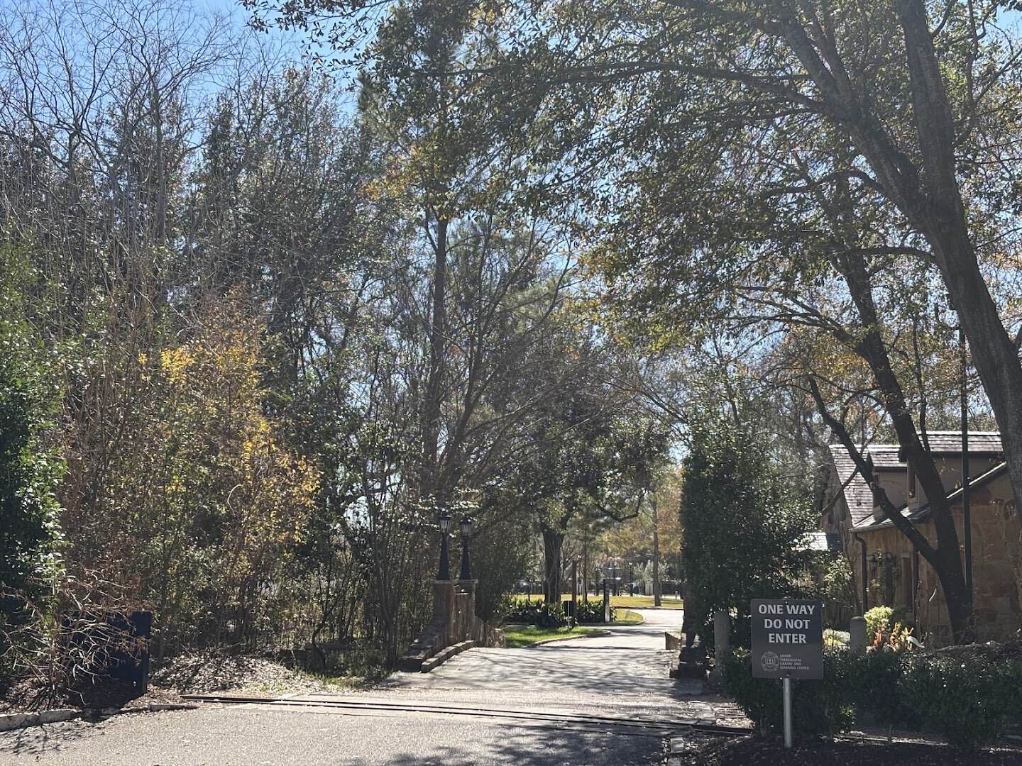 A tree-lined path on the grounds of the Lanier Theological Library in Houston, Texas