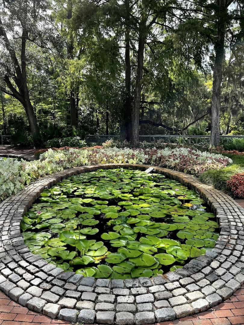 Water lily pond ringed with stone at Shangri La Botanical Gardens in Orange, Texas