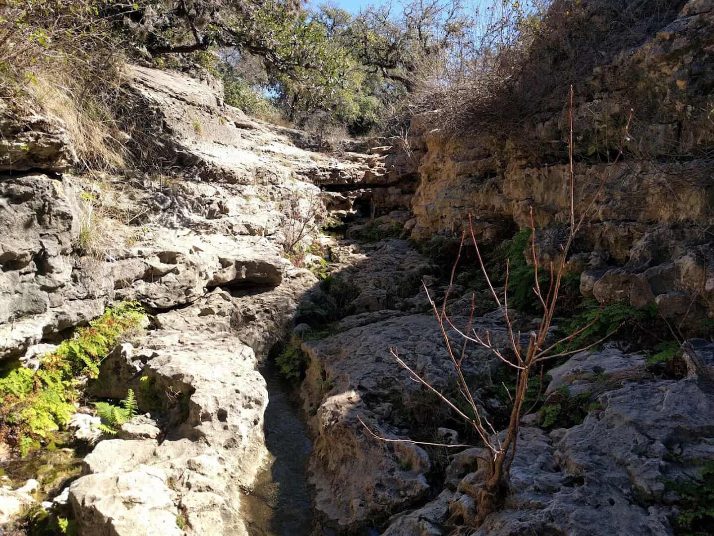 Layered limestone canyon walls and rock ledges at Milton Reimers Ranch Park