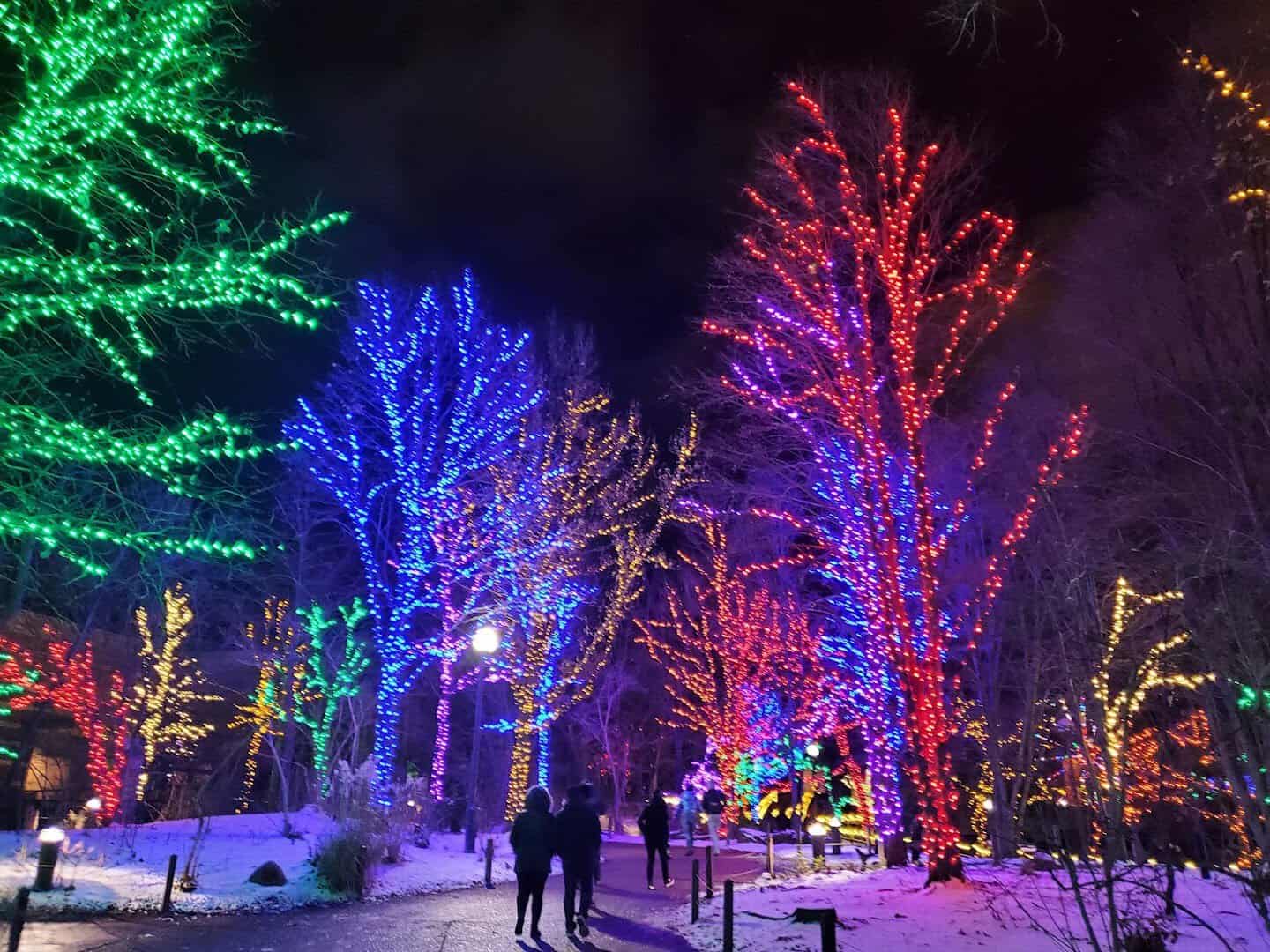 Trees strung in green, blue and red holiday lights at night during ZooLights, Lincoln Park Zoo, Chicago, Illinois