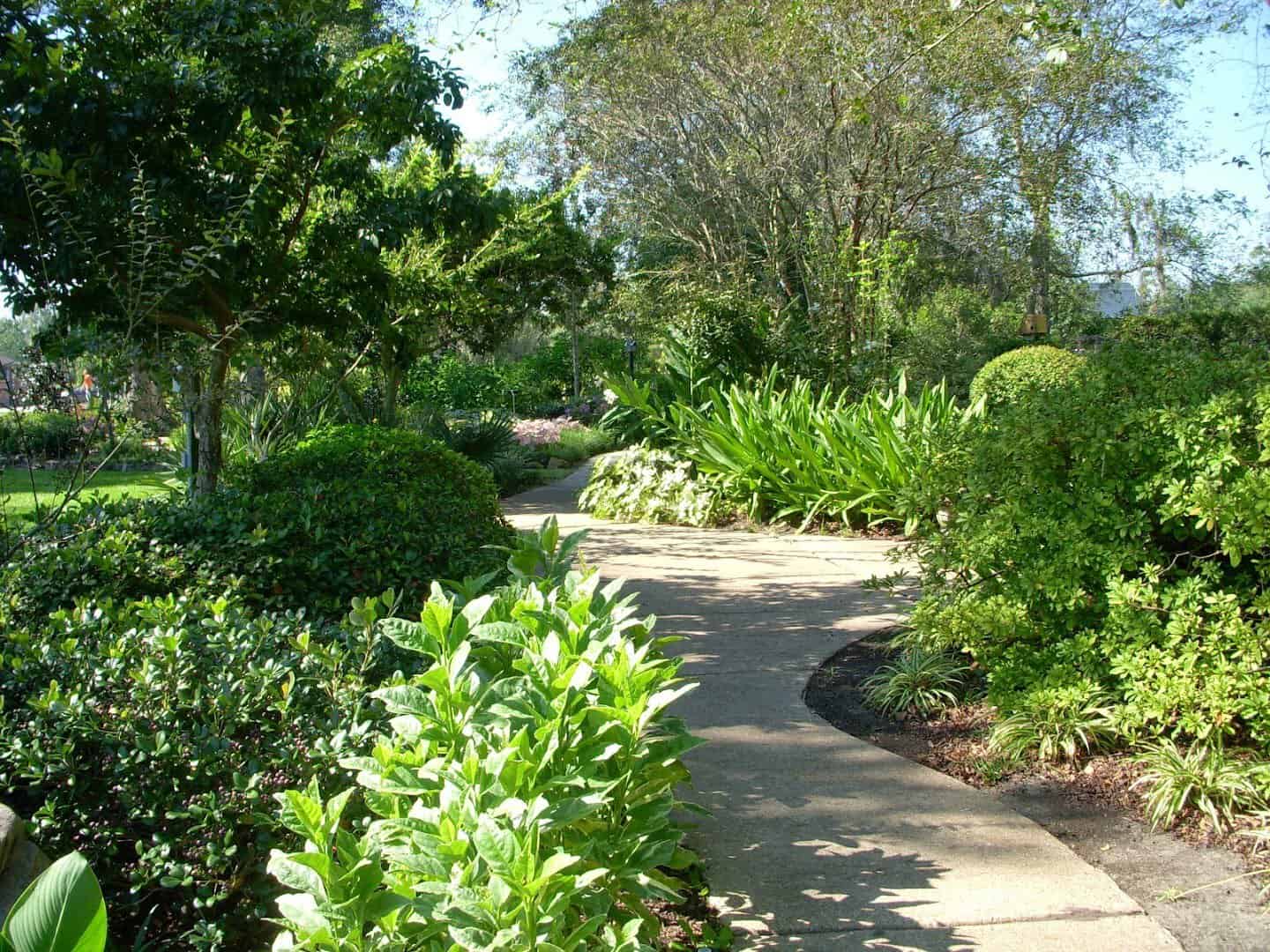 Lush green garden path at Beaumont Botanical Gardens
