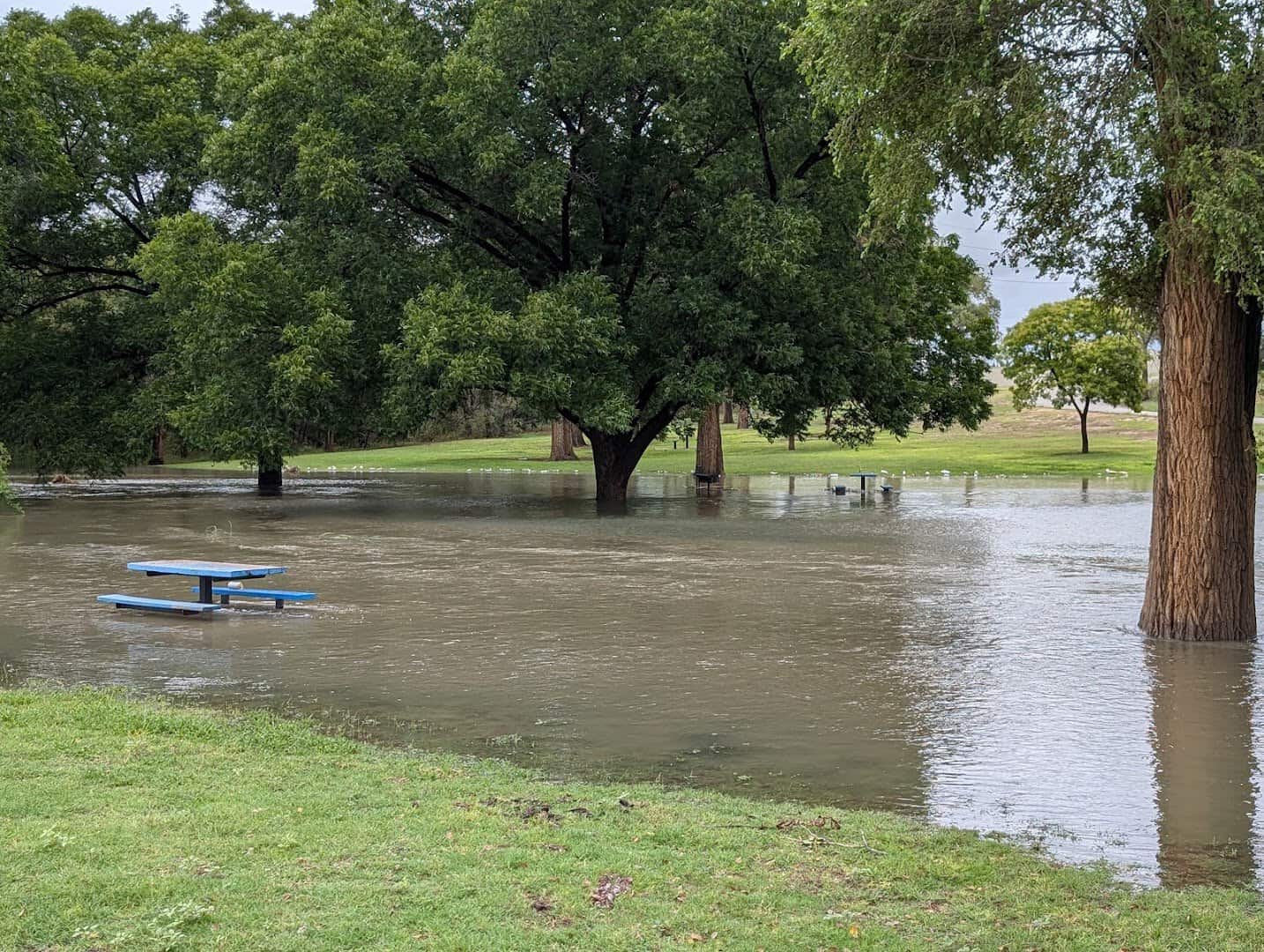 Pond and shade trees in Mackenzie Park near Prairie Dog Town in Lubbock