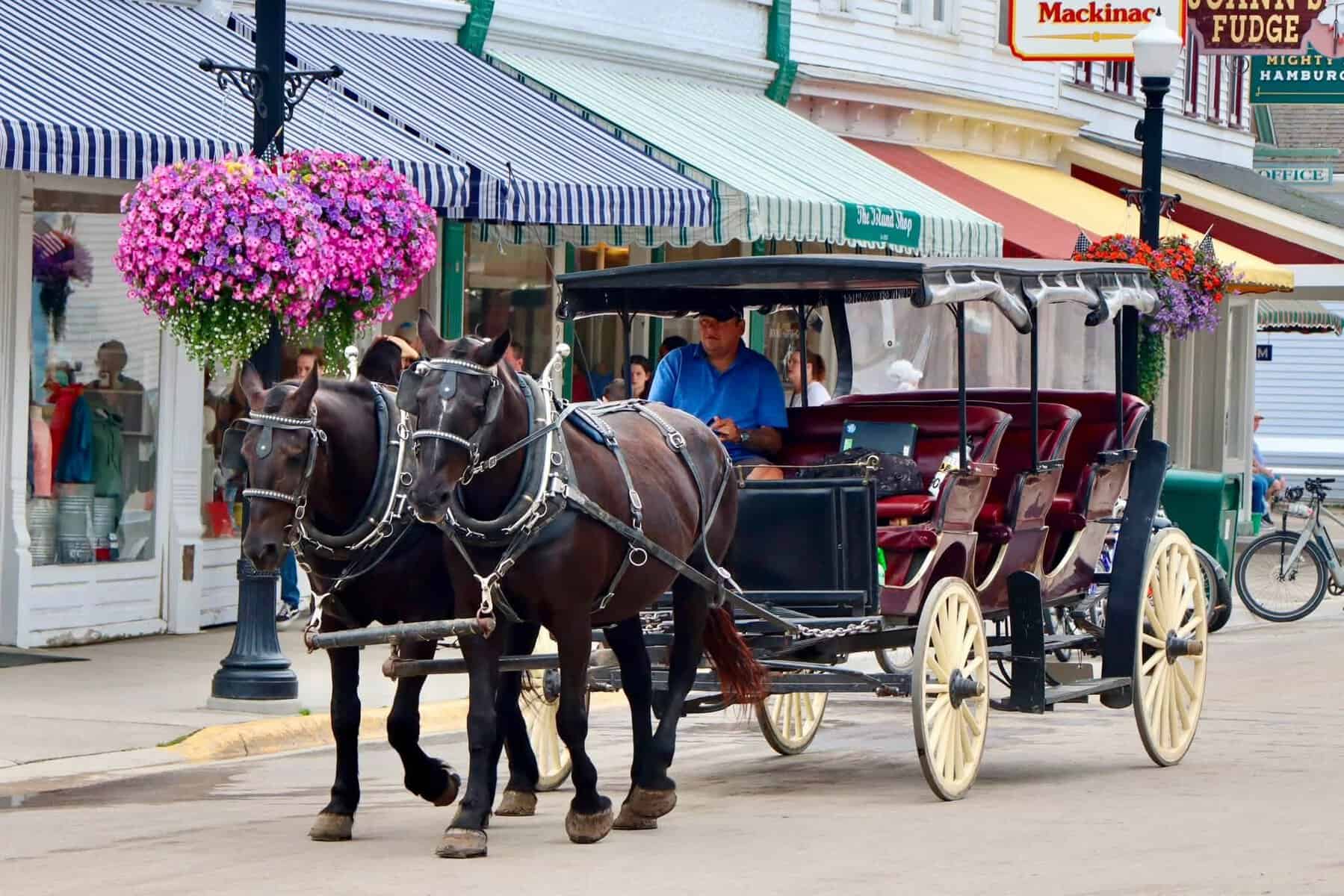 Horse-drawn carriage passing fudge shops on the car-free main street of Mackinac Island, Michigan