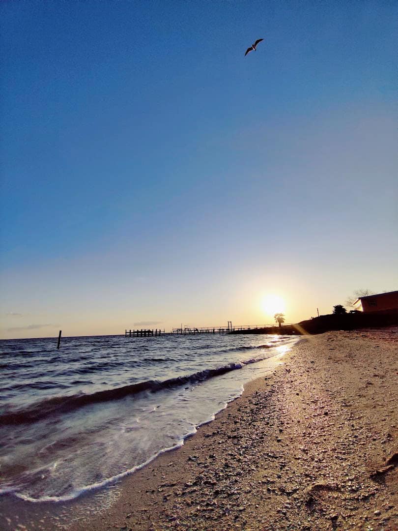 Shell beach shoreline at sunset on Matagorda Bay at Magnolia Beach near Port Lavaca, Texas