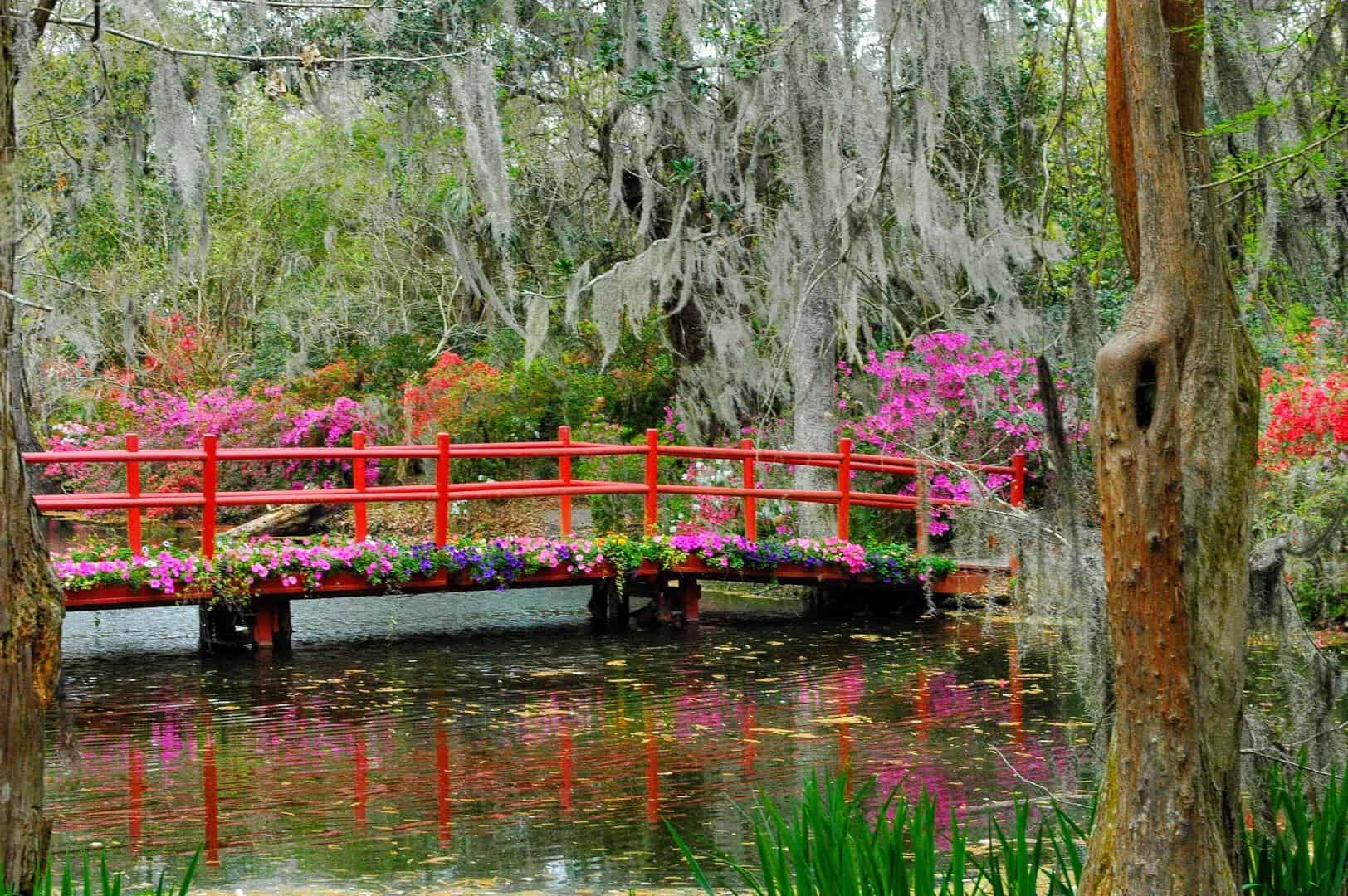 The red arched bridge and blooming azaleas reflected in a pond at Magnolia Gardens, Charleston, SC