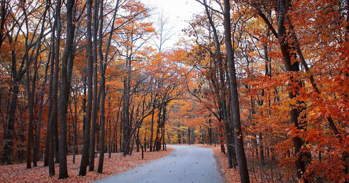 6 Underrated Midwest Spots That Blaze With Fall Color Every October