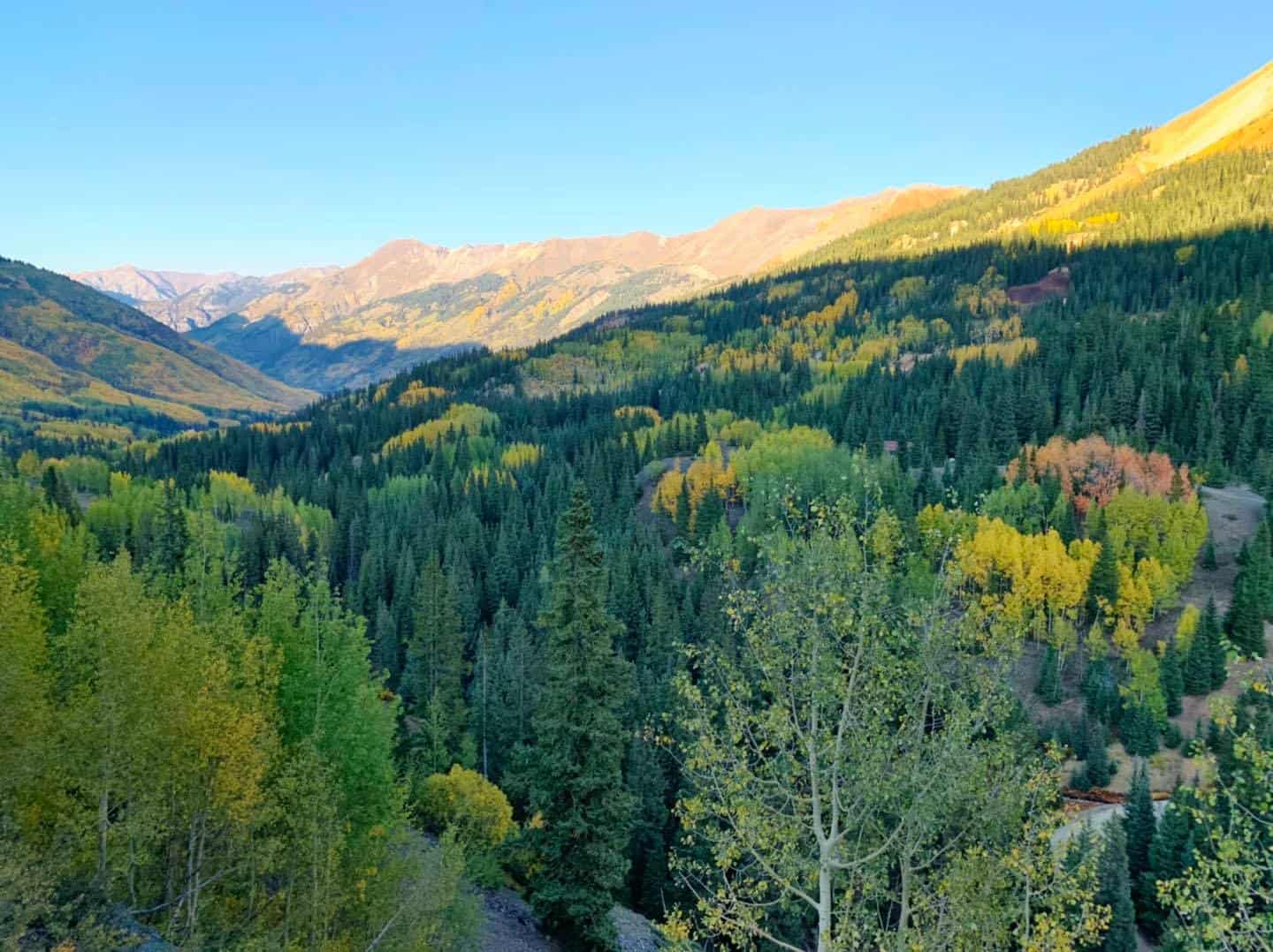 Golden autumn aspens in a San Juan Mountains valley along the Million Dollar Highway, Colorado