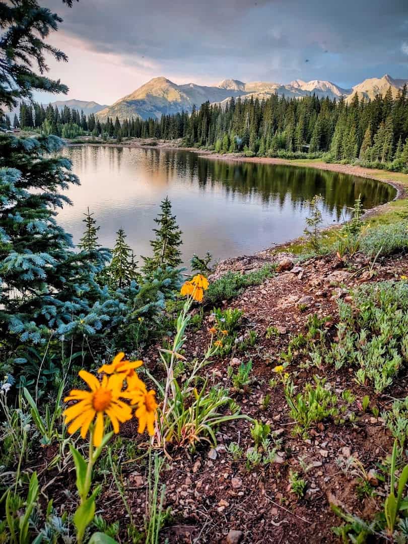 Peaks reflected in Molas Lake with wildflowers above Silverton, Colorado