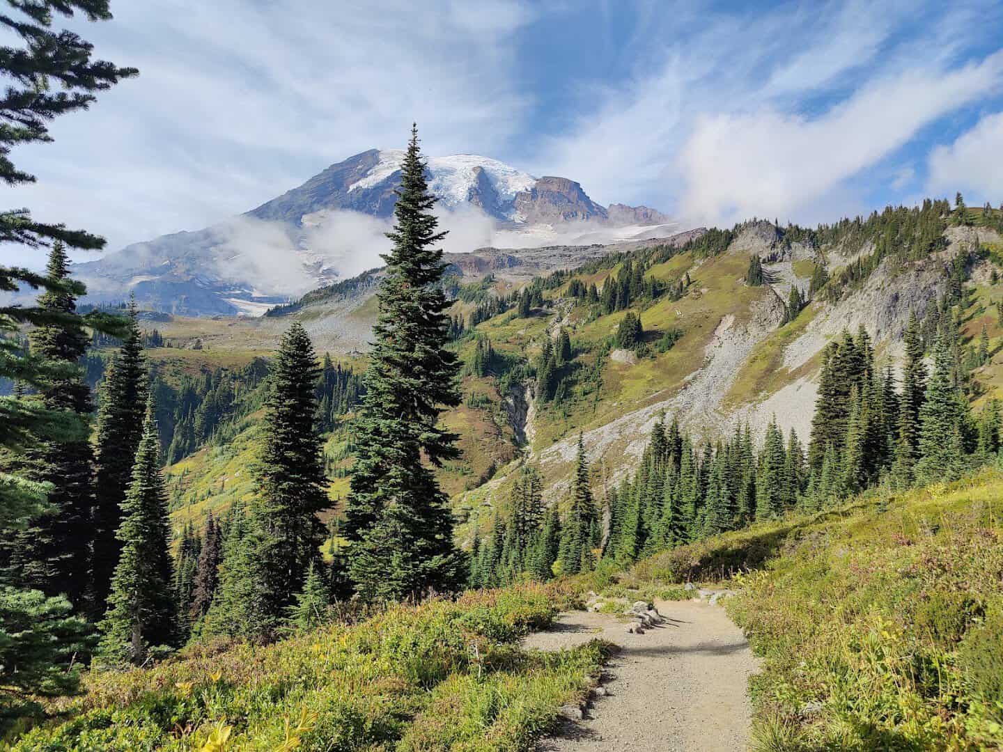 Mount Rainier's snowy summit above a subalpine meadow trail, Mount Rainier National Park, Washington