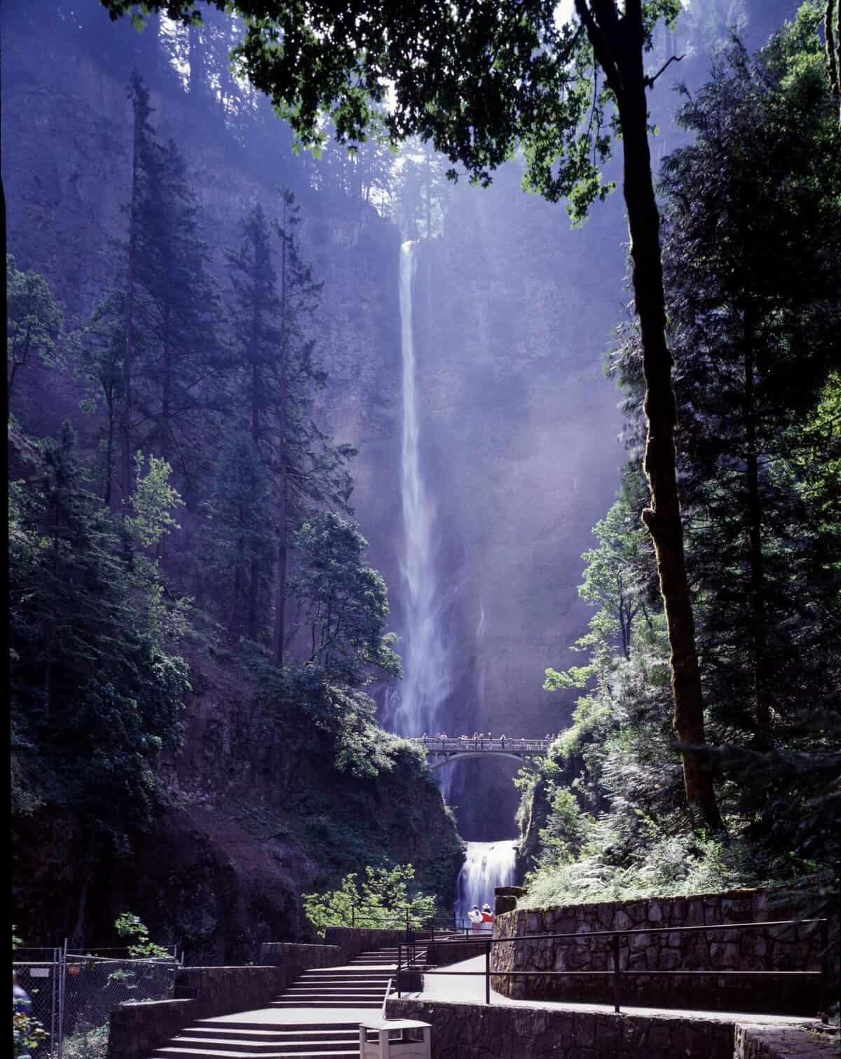 Multnomah Falls dropping in two tiers with the Benson Bridge between them, Oregon