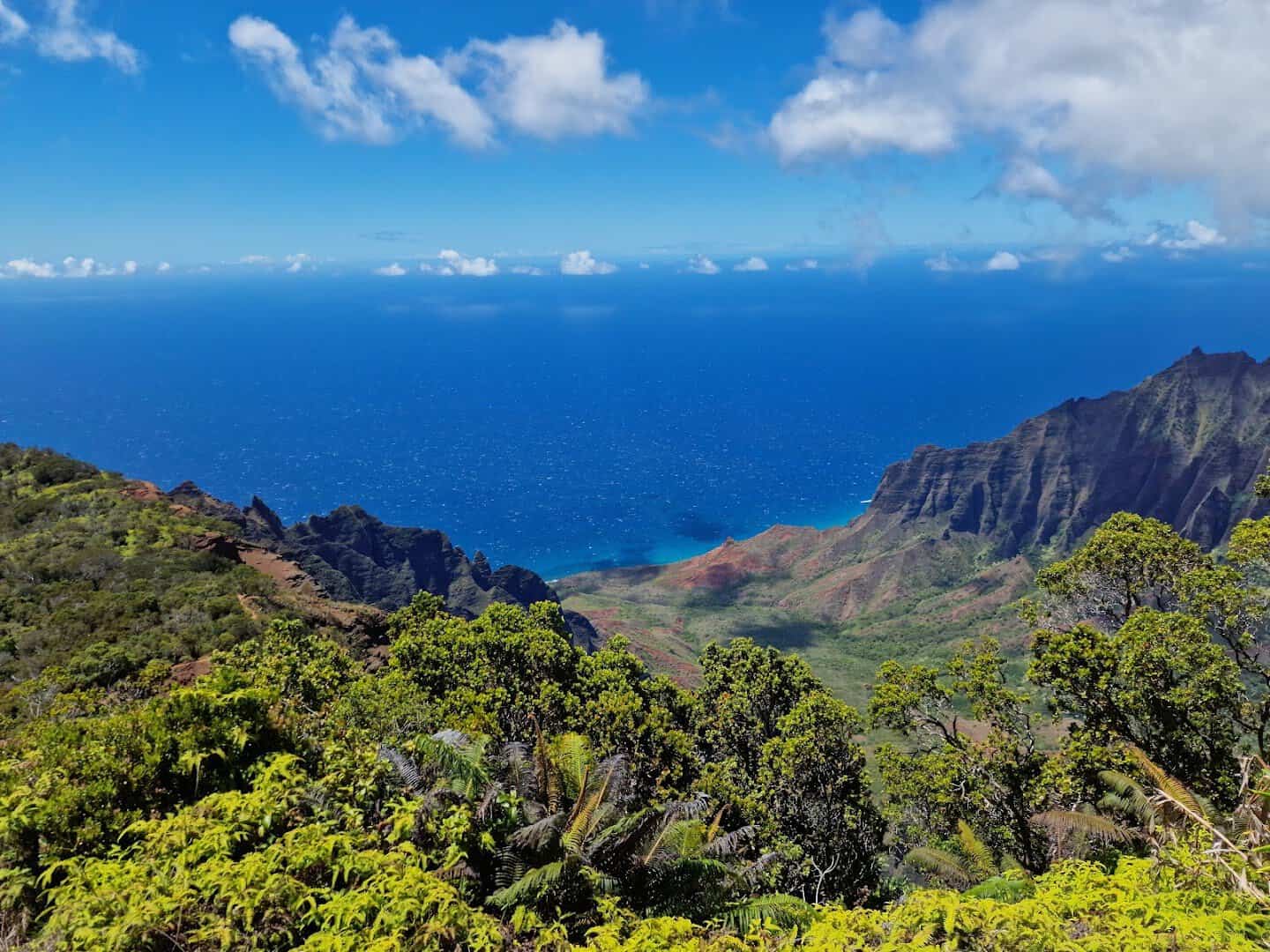 Fluted green cliffs of the Na Pali Coast meeting the Pacific from Kalalau Lookout, Kauai, Hawaii