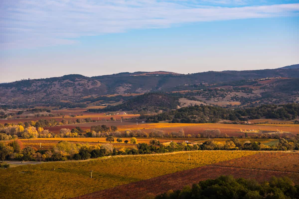 Autumn vineyards and hills in Napa Valley, California