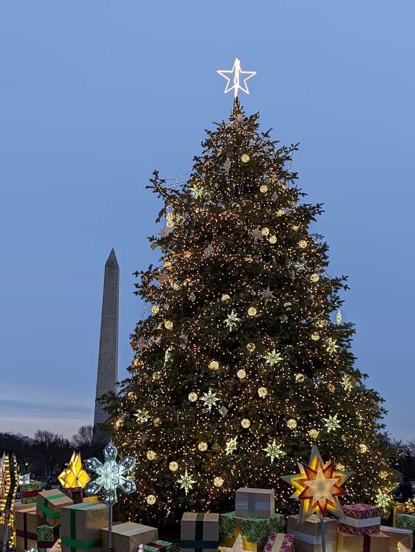 A decorated National Christmas Tree with the Washington Monument behind it, Washington, DC
