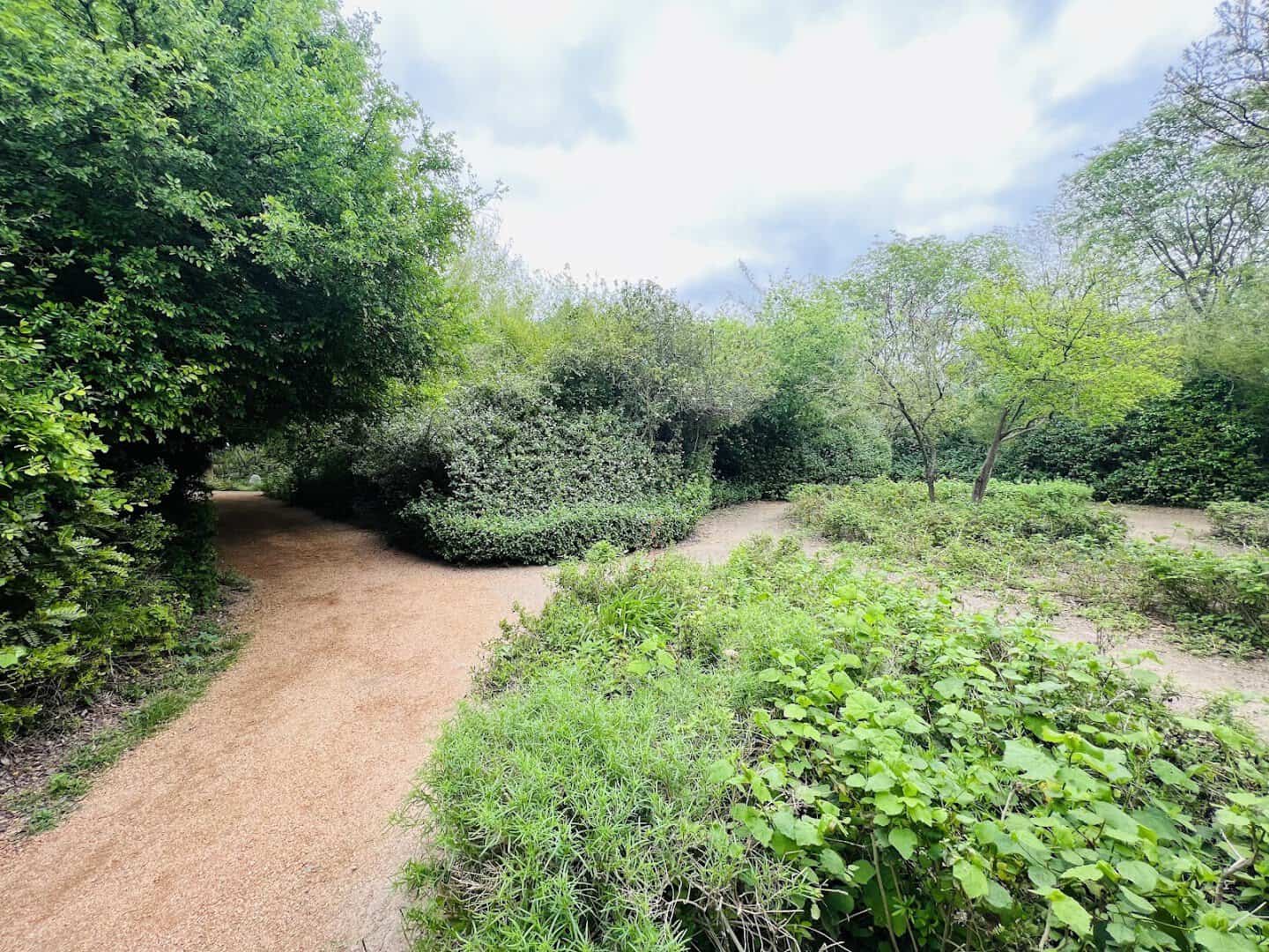 Native plants along a garden path at Edinburg Scenic Wetlands in Edinburg, Texas