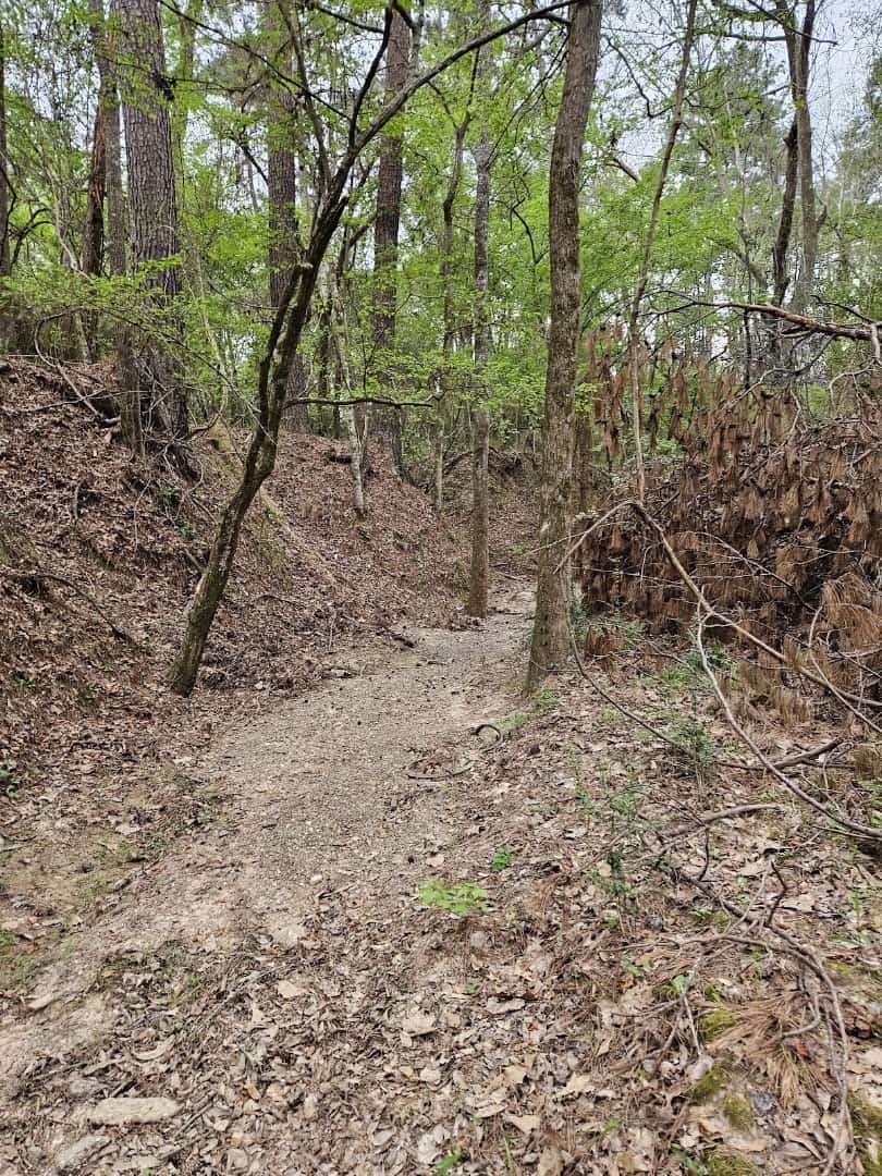 Natural-surface dirt trail through the woods at Spring Creek Greenway