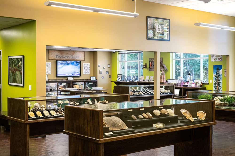 Exhibits inside the Spring Creek Greenway Nature Center
