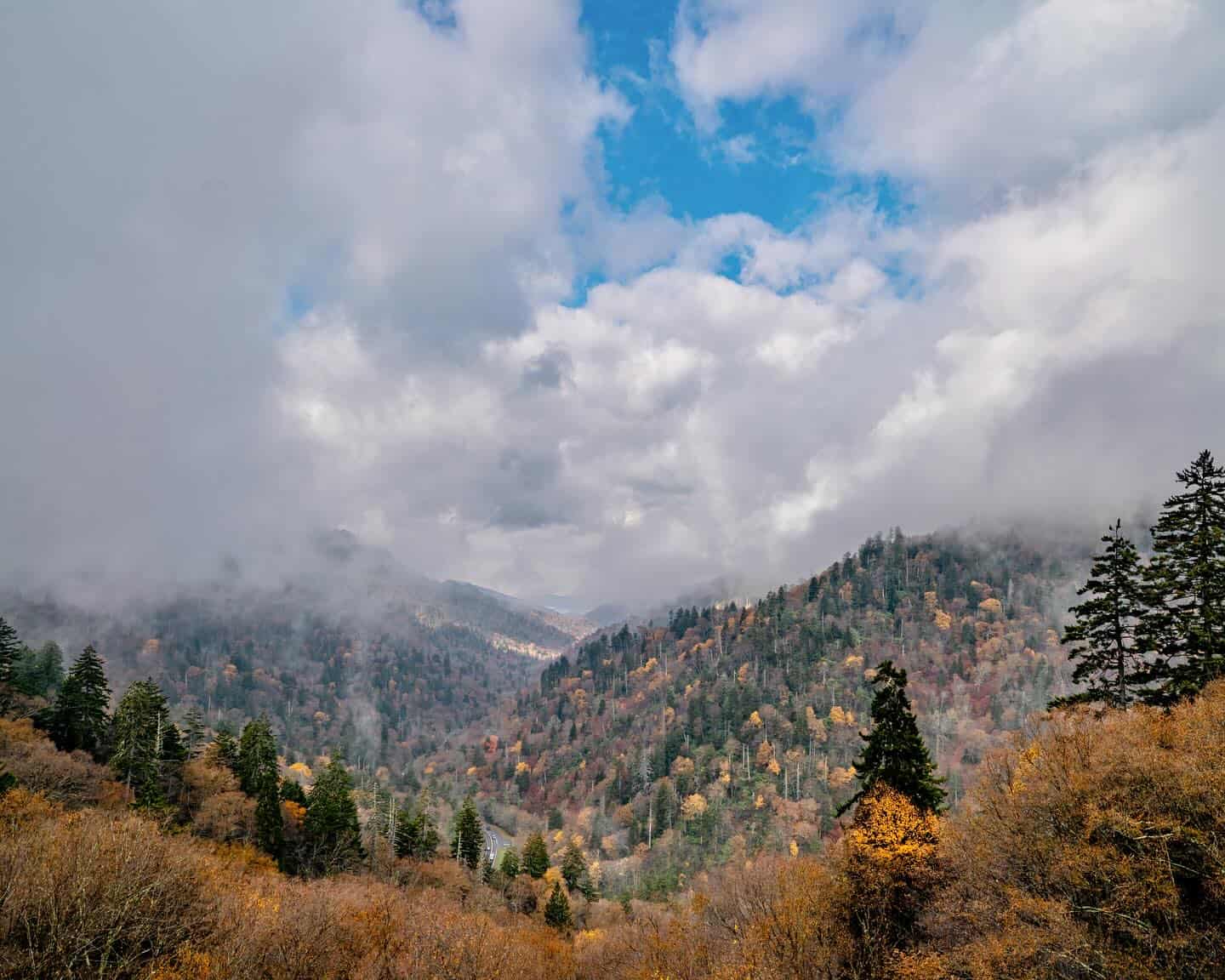 Misty autumn view over Newfound Gap in the Great Smoky Mountains near Gatlinburg, Tennessee