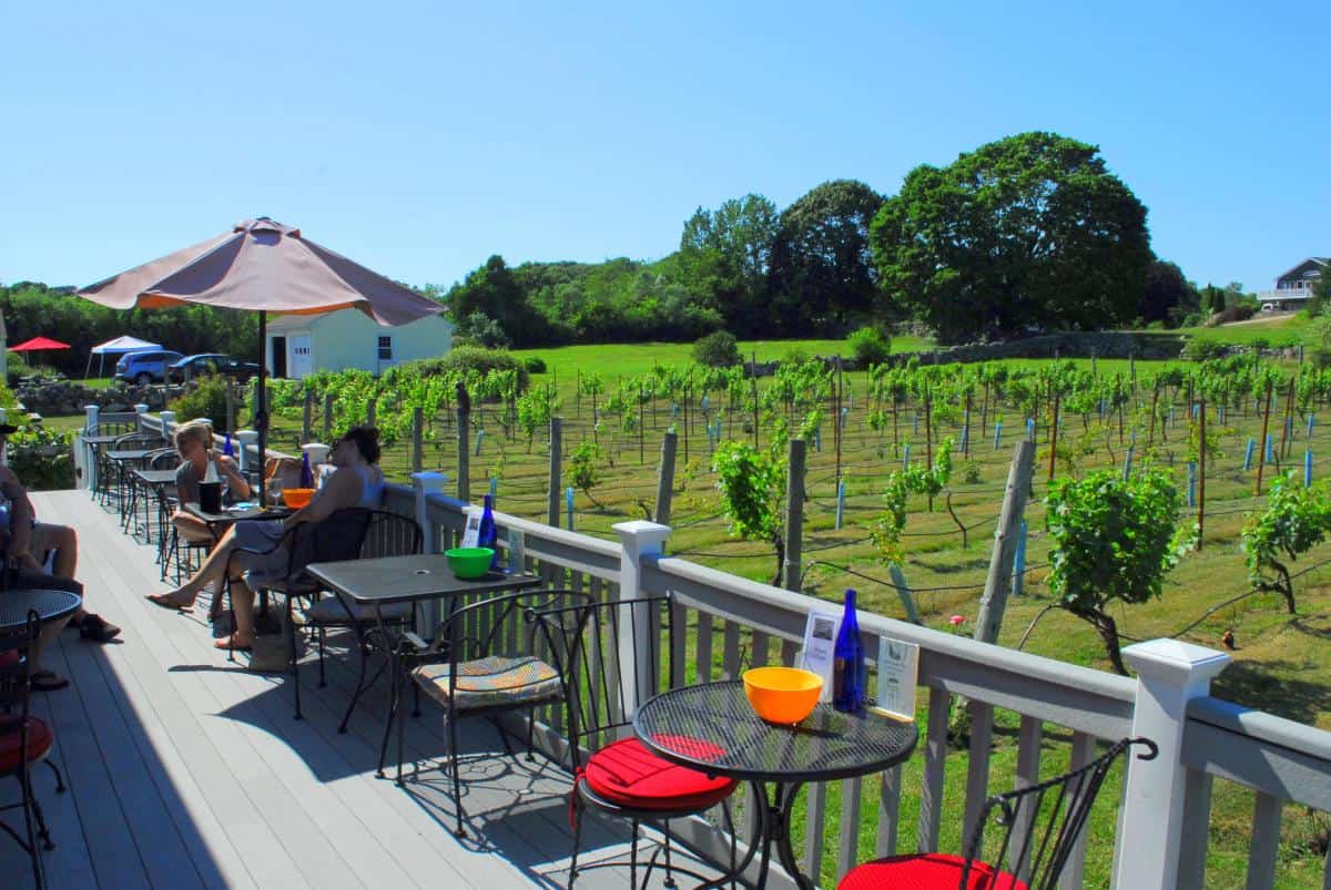 Vineyard patio overlooking the vines at Newport Vineyards, Rhode Island